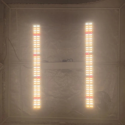Led 120W Solidee Kit