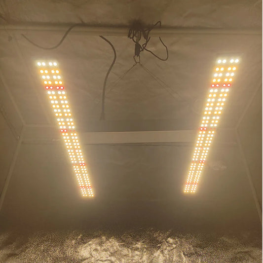 Led 120W Solidee Kit