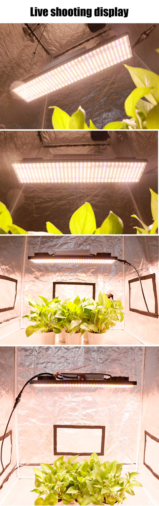 Led 240W lm301h KIT