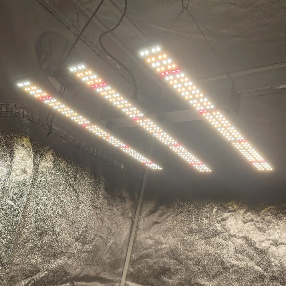 Led 180W Solidee Kit
