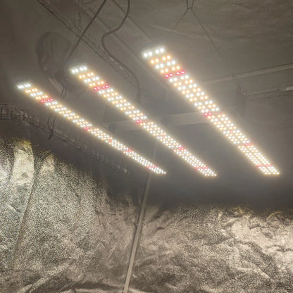 Led 180W Solidee Kit