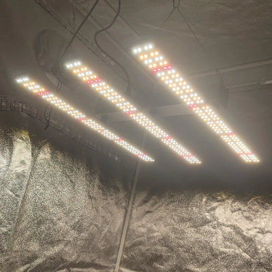 Led 180W Solidee Kit