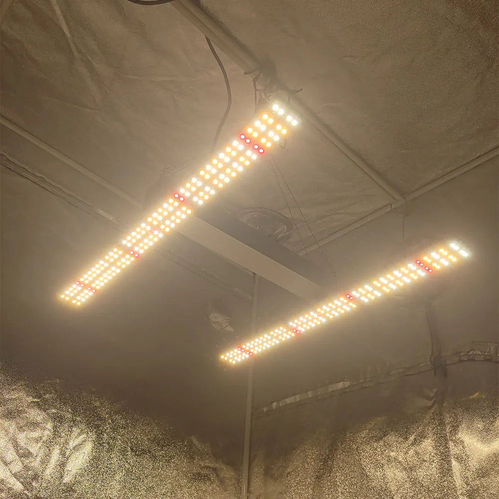 Led 120W Solidee Kit