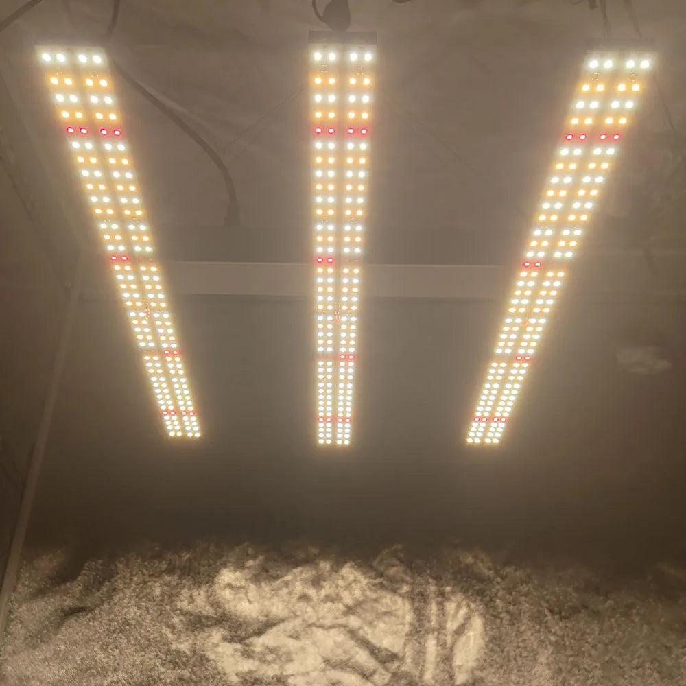 Led 180W Solidee Kit
