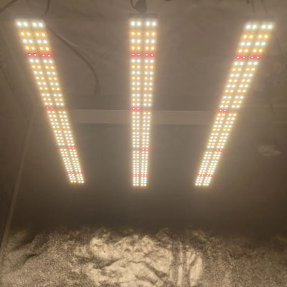 Led 180W Solidee Kit